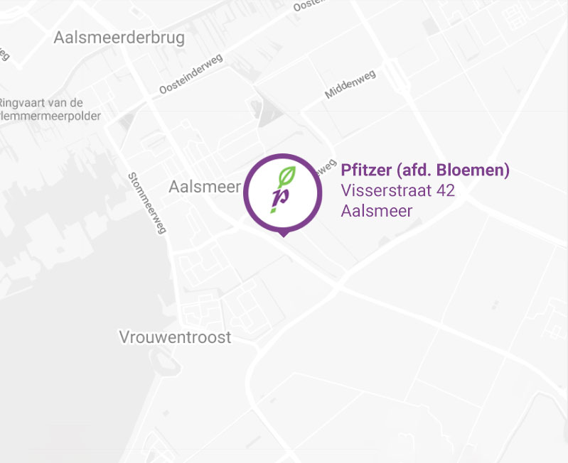 Pfitzer - Visserstraat 42, Aalsmeer